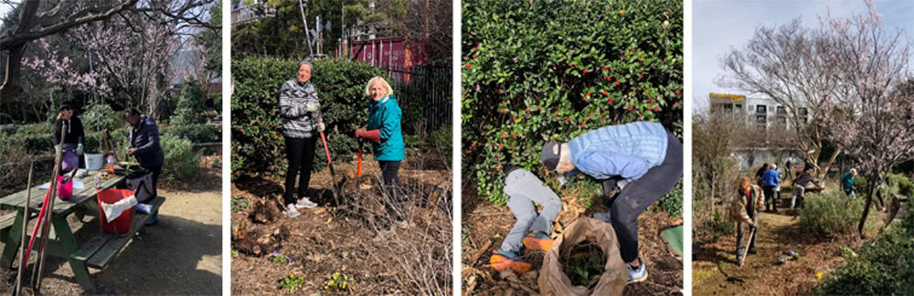 Volunteers planting and maintaining garden beds during McGill Garden Workday.