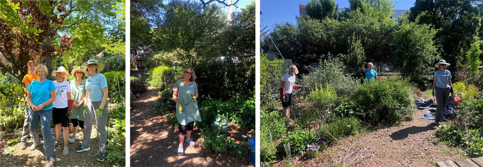 Garden club members working together outdoors in a lush, green garden setting.